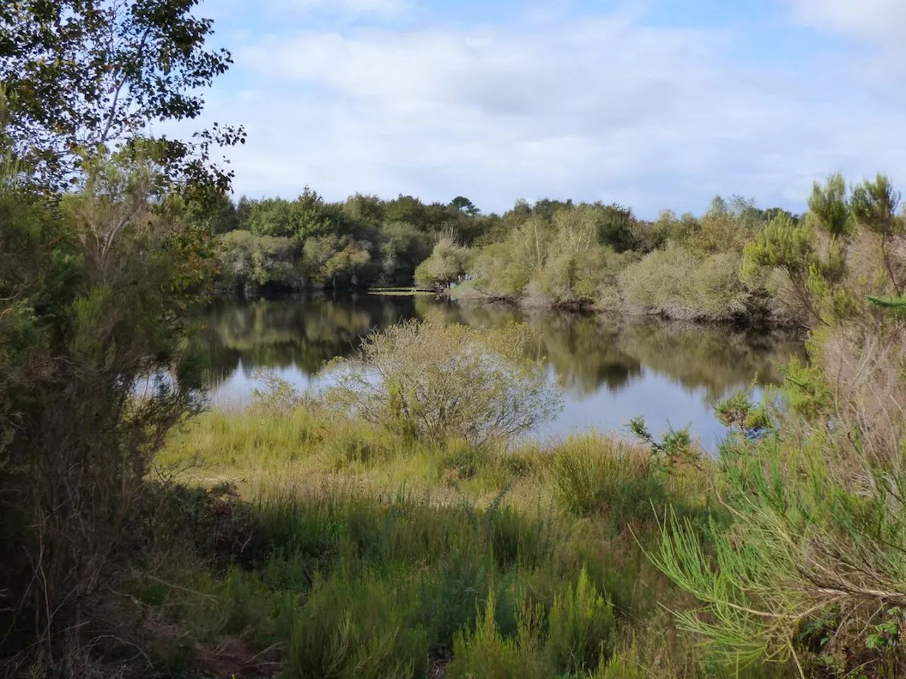 Tribunal de La Rochelle : le chasseur n’avait pas obtempéré face à la police de l’environnement