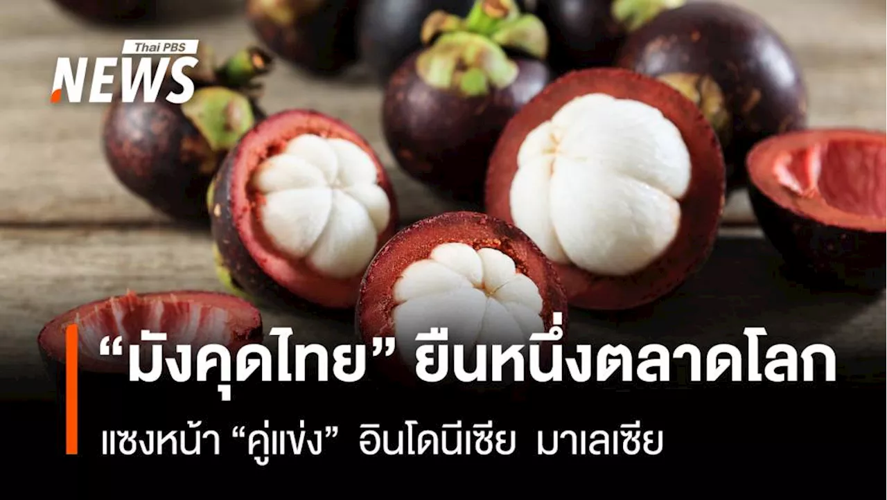 “มังคุดไทย” ยืนหนึ่งตลาดโลก แซงหน้า “คู่แข่ง” อินโดนีเซีย มาเลเซีย