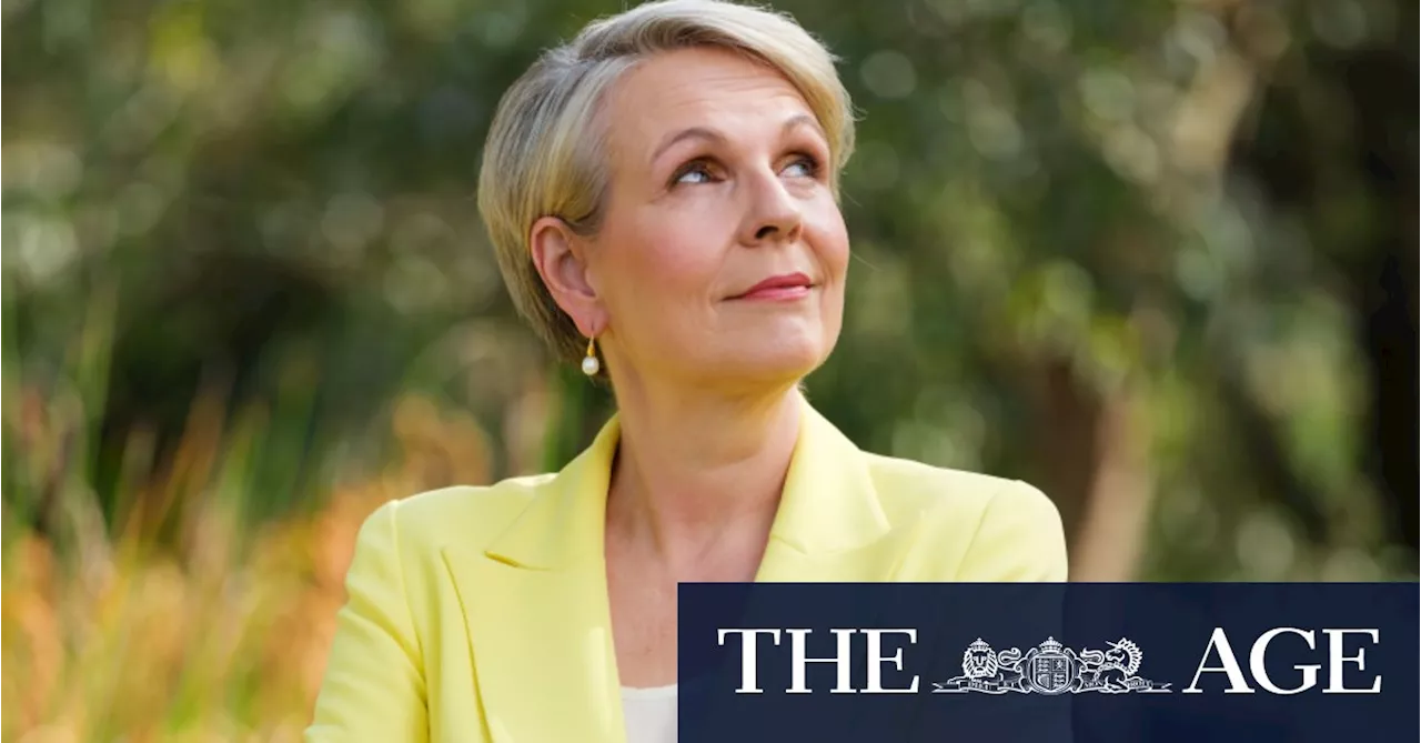 Why Tanya Plibersek is ‘absolutely prepared to put the blowtorch on Peter Dutton’