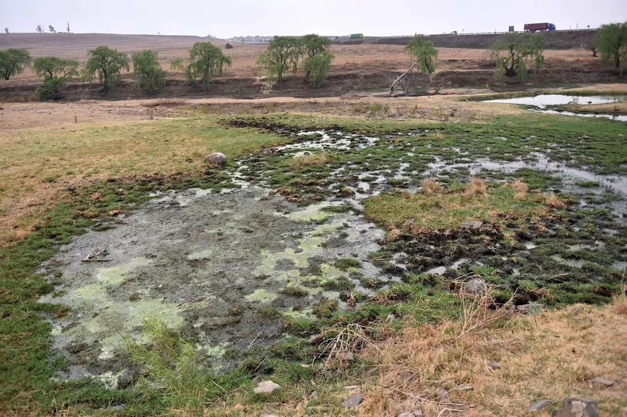 Polluted Vaal River puts community health at risk: Forum aims to reverse damage