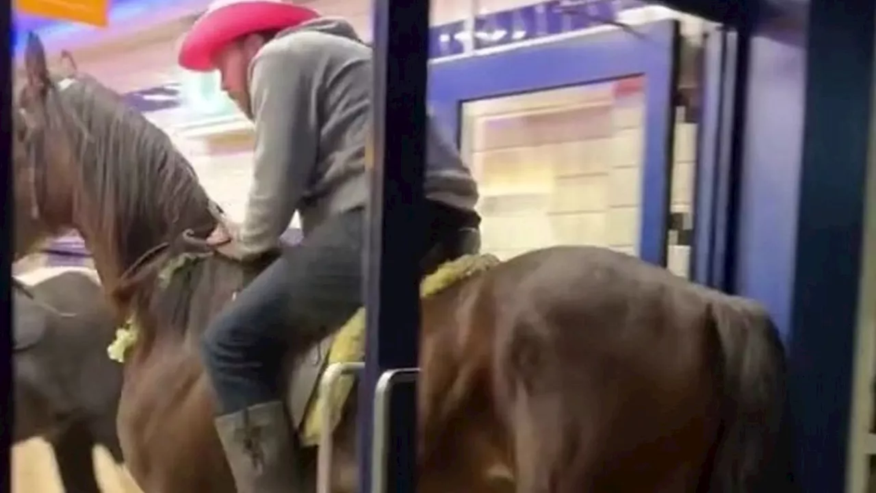 Horses Walk Into Chip Shop