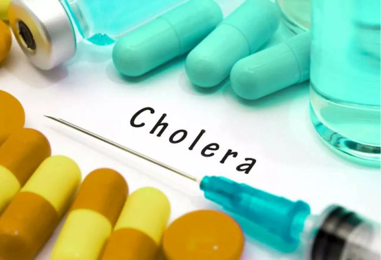 Flood: Cholera outbreak hits Borno, 451 cases recorded