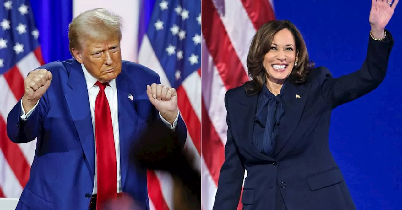 Nova pesquisa mostra cenário acirrado entre Kamala e Trump na reta final das eleições