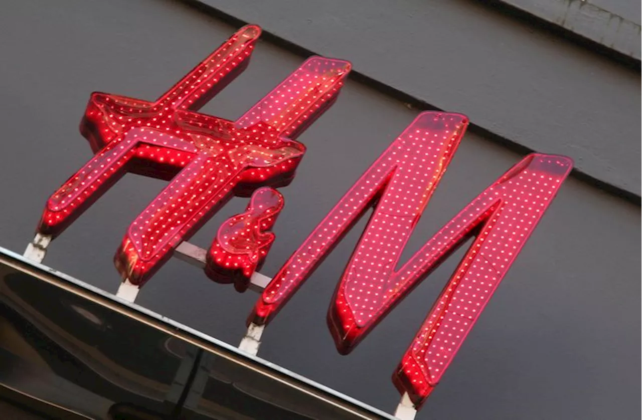 H&M to phase out virgin down by the end of 2025