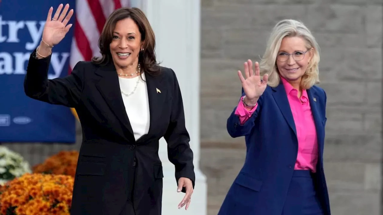 'We Must Defeat Donald Trump': Republican Liz Cheney Rallies With Harris