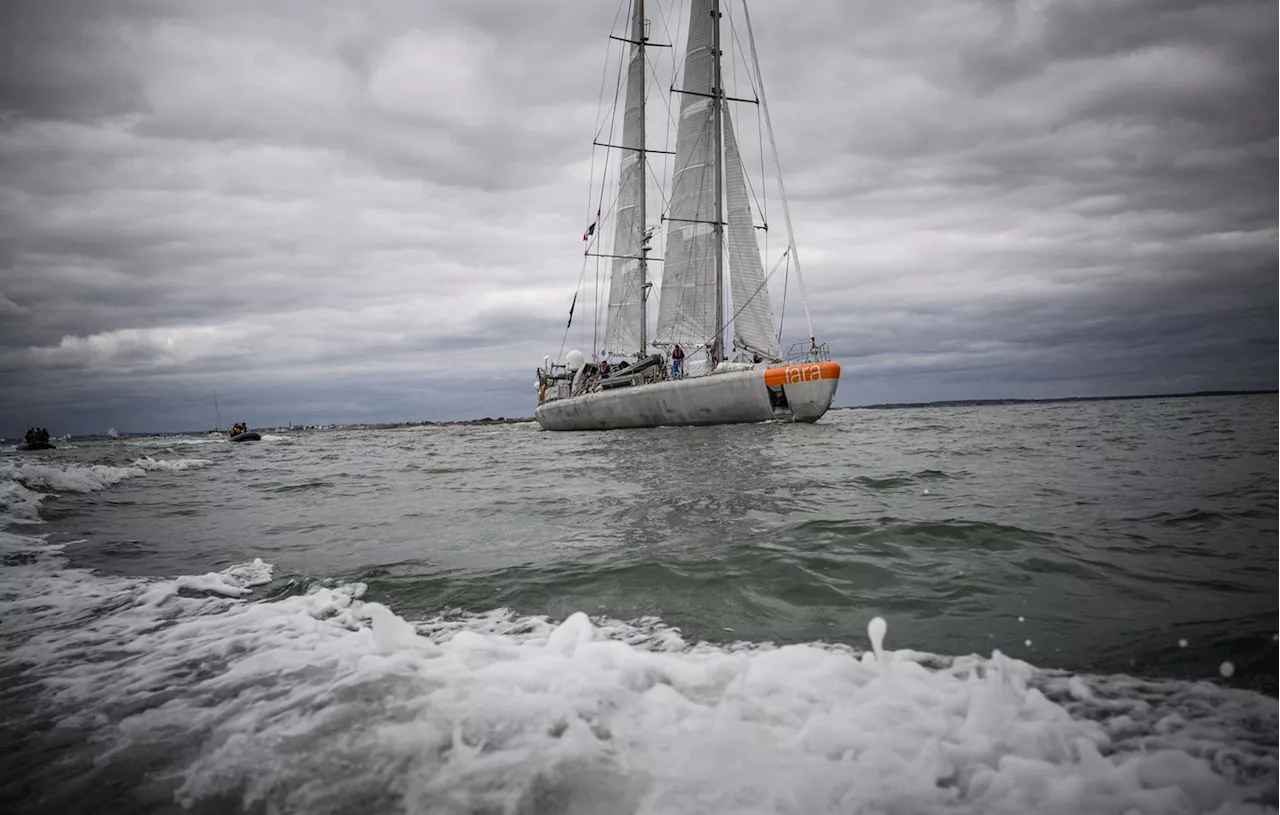 Après un périple de 24.000 km, la goélette scientifique « Tara » est de retour au port