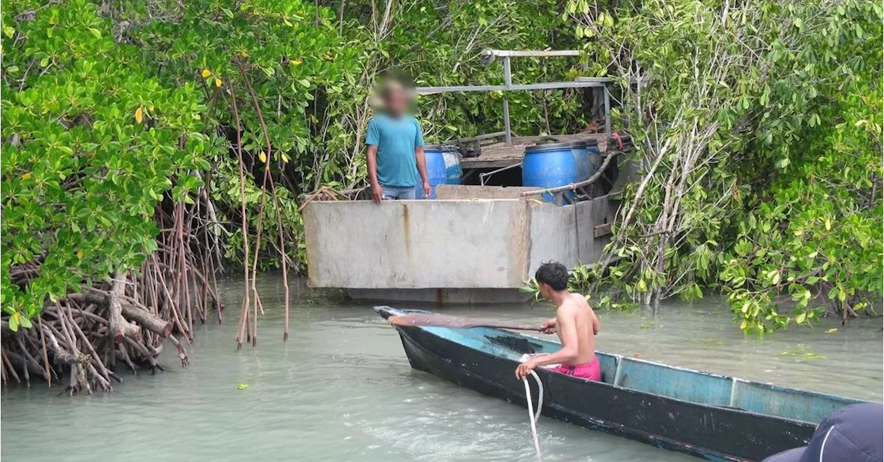 Nine fishers busted with 'highly-prized' sea cucumber haul