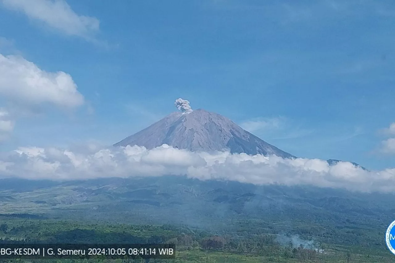 Semeru erupsi dengan letusan setinggi 500 meter di atas puncak