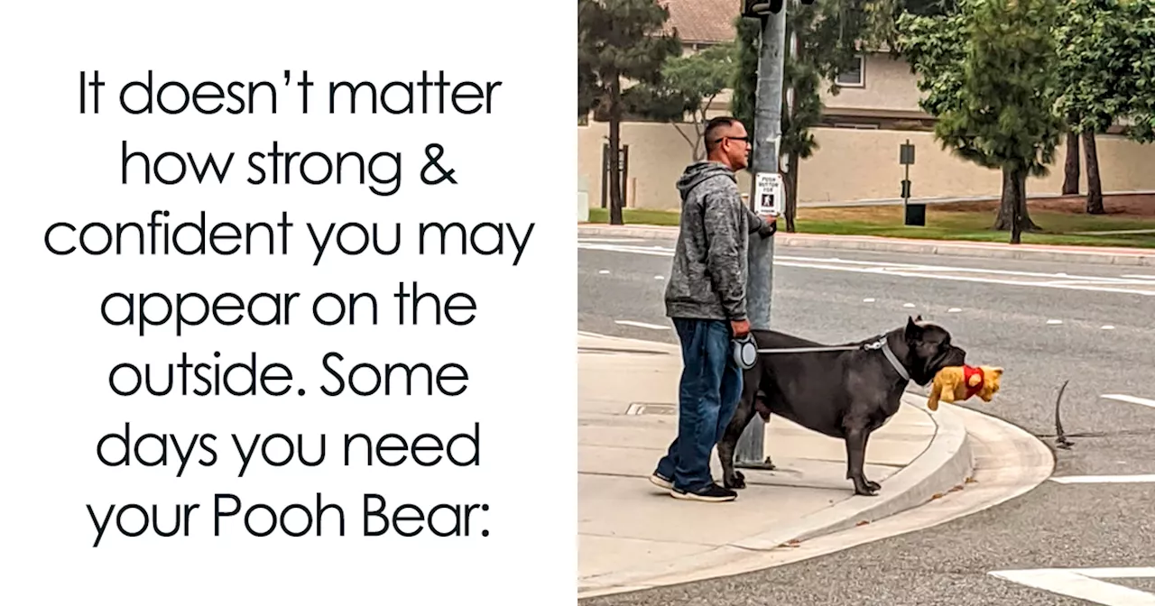 77 Truthful Memes About What It’s Like To Have A Dog
