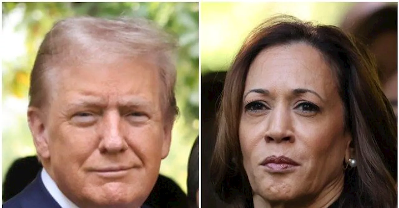 Poll: Voters More Confident Trump Will Win over Harris in November