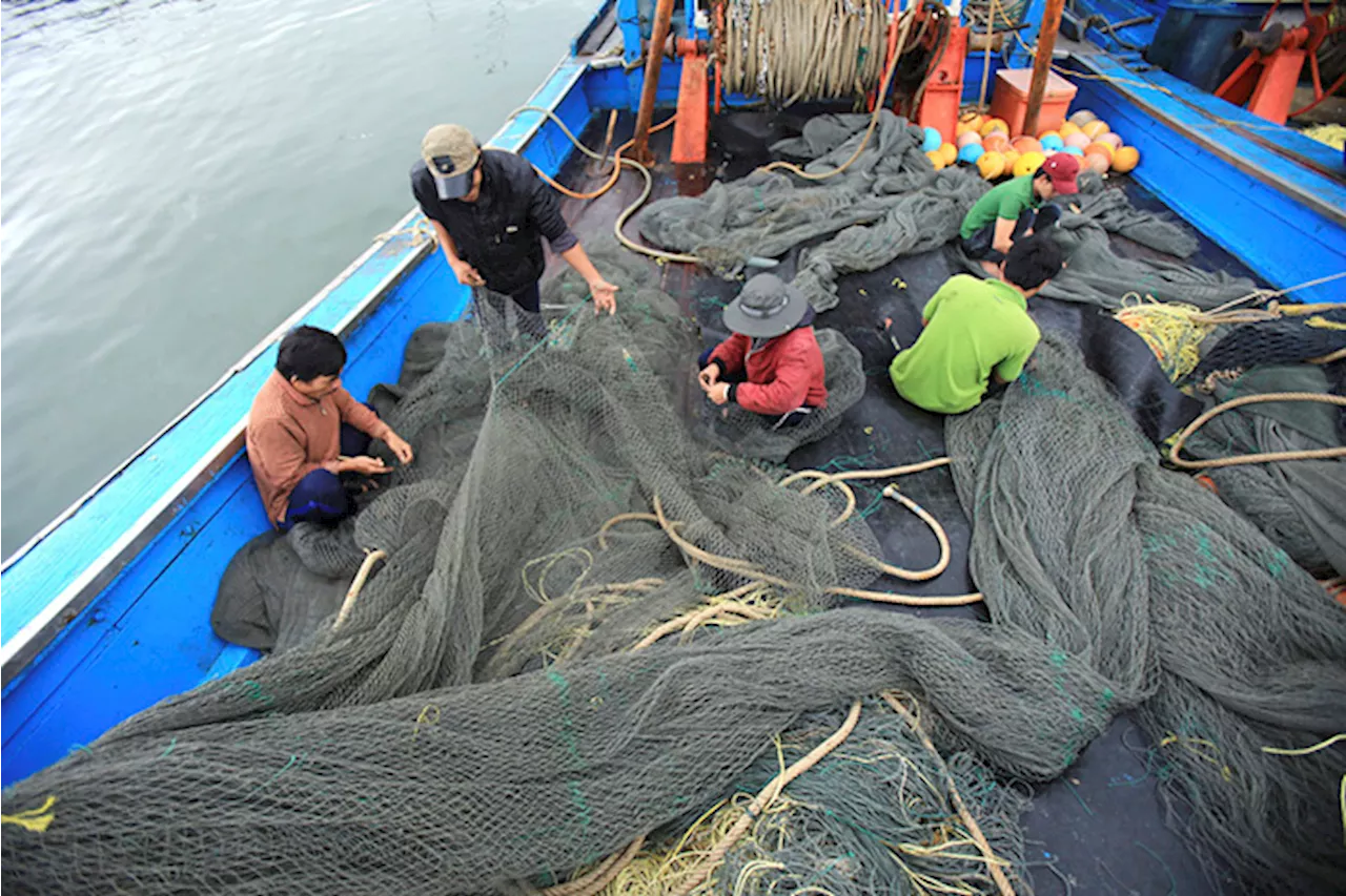 Vietnam condemns China for assault on fishermen near disputed islands