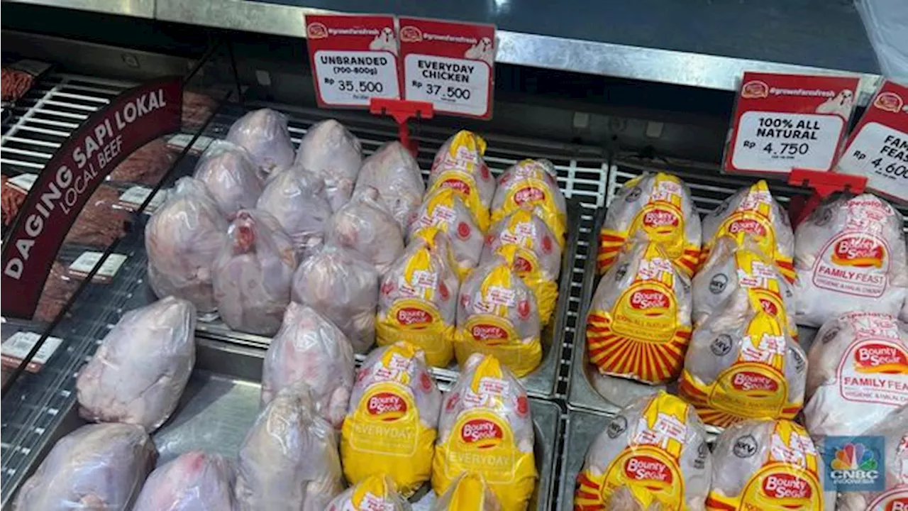 Ada Diskon 50%+20%, Harga Ayam & Anggur Cuma Segini di Transmart!