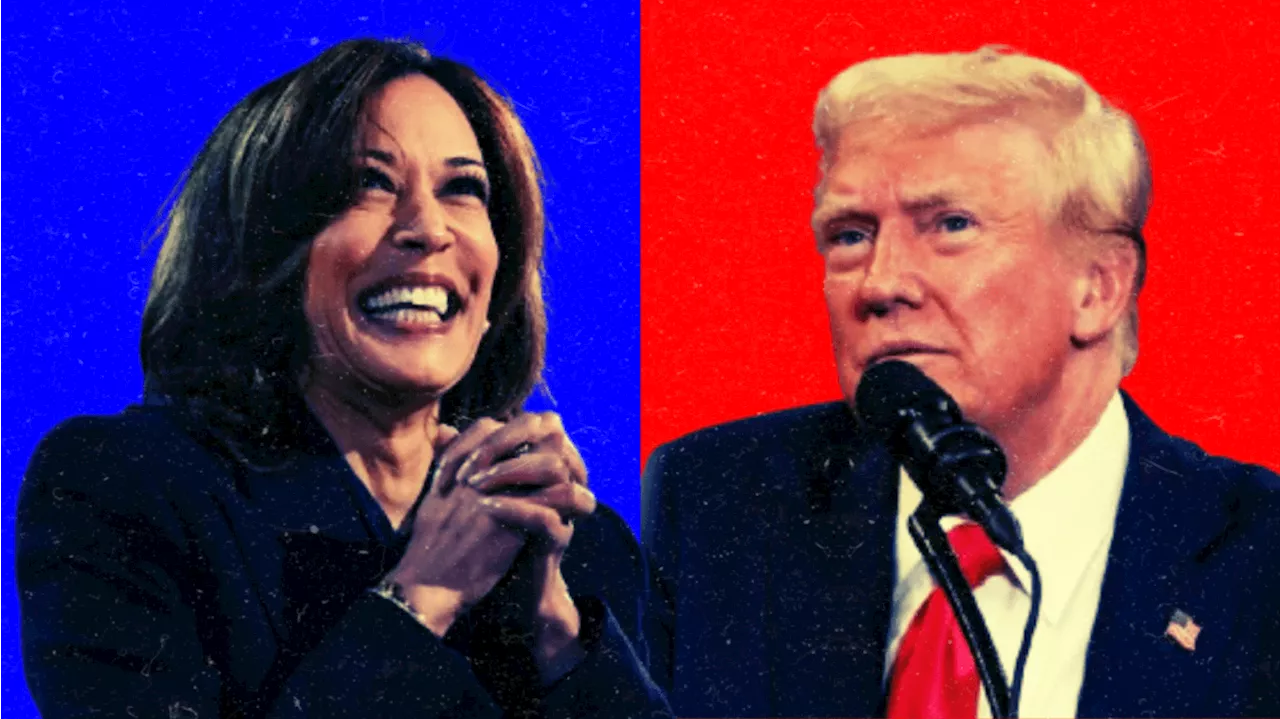 Donald Trump e Kamala Harris estão de volta a estados-pêndulo neste sábado (5)