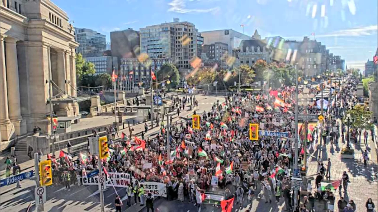 Pro-Palestinian march held in Ottawa amid global day of protests