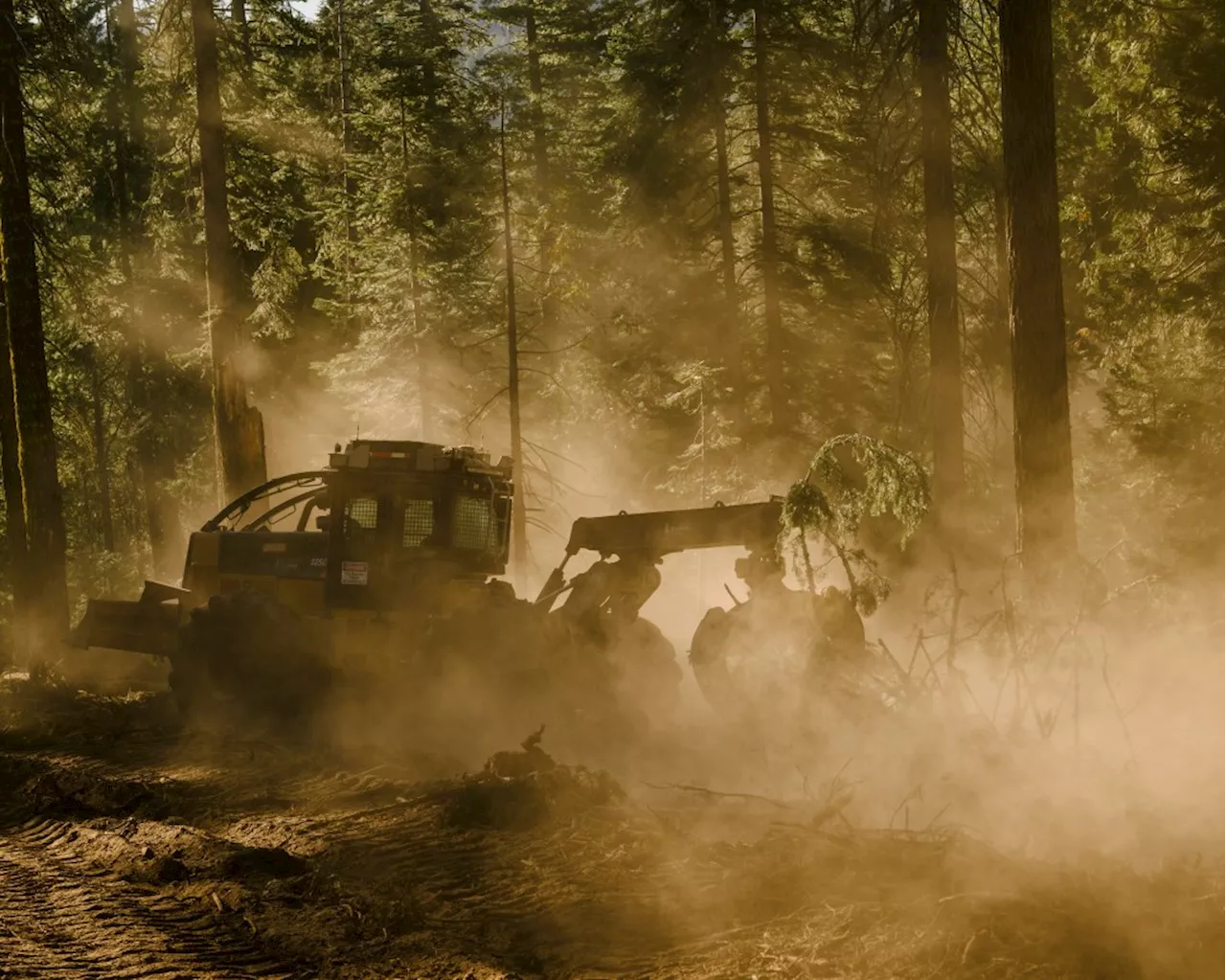 Tech startups innovate to snuff out wildfires