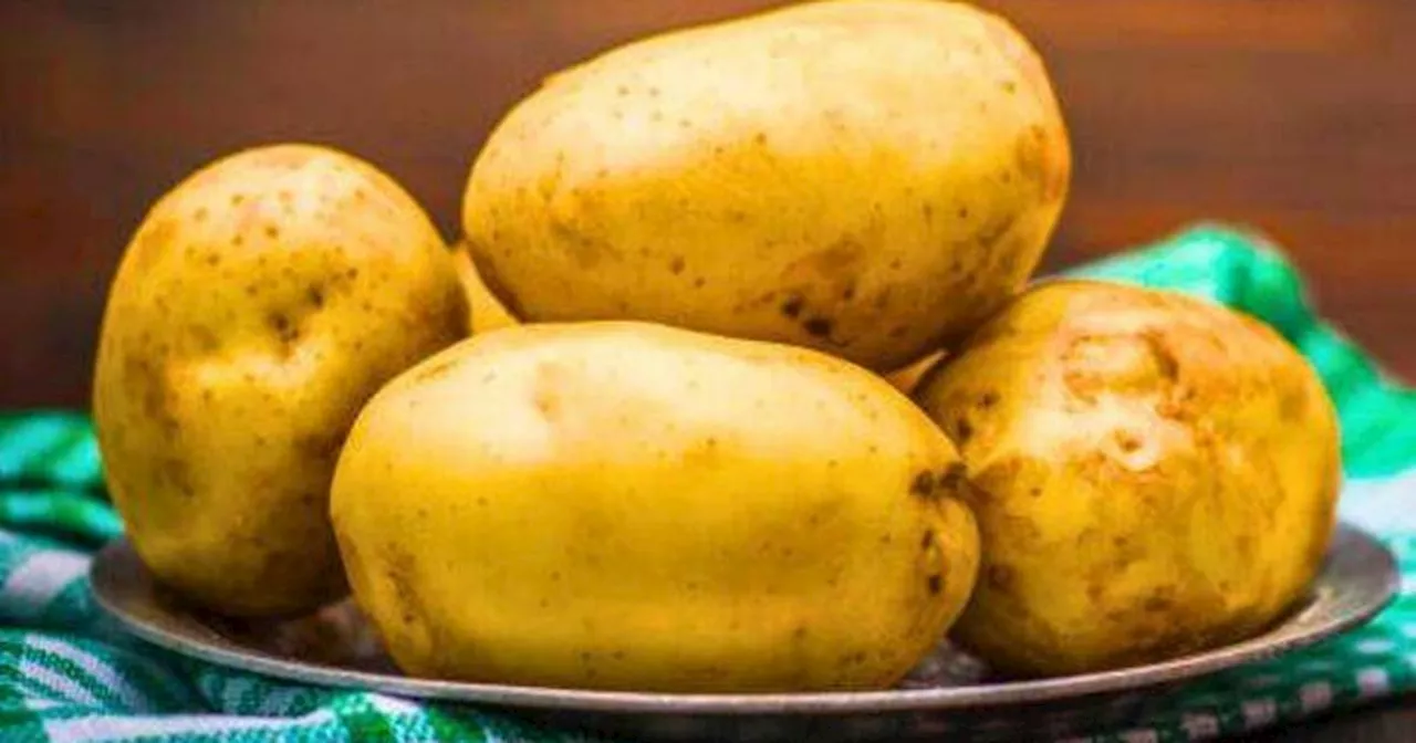 Storing Potatoes Properly: A Guide to Avoiding Waste