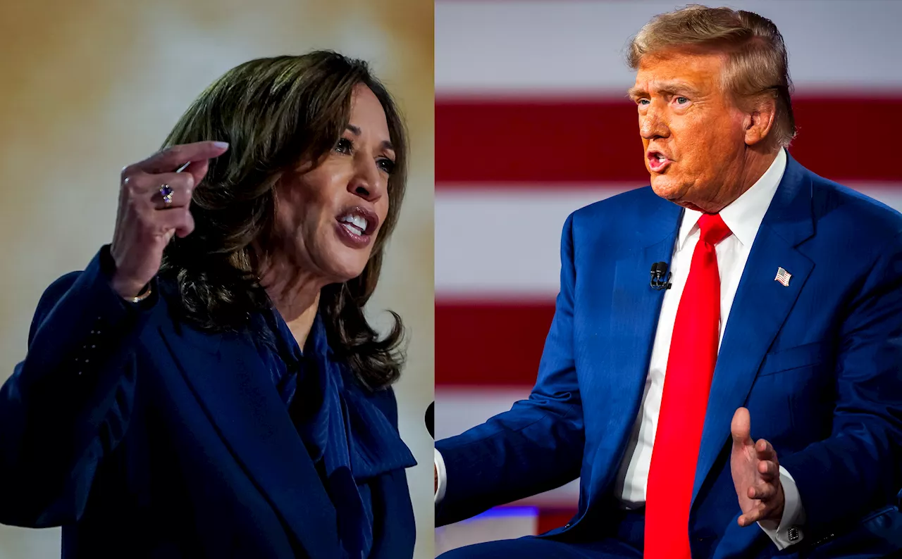 EE.UU., a un mes para el Trump vs Harris en las elecciones