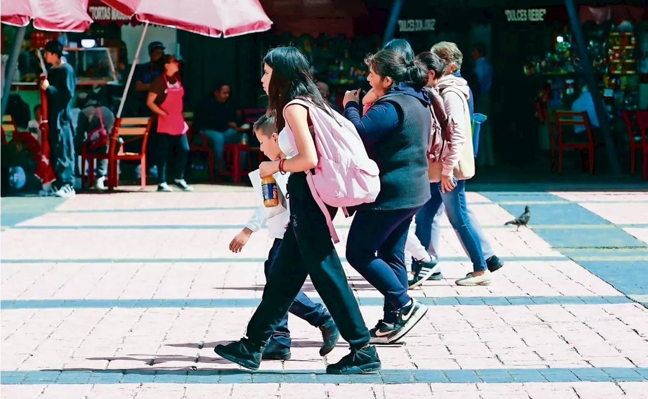 Más de dos millones de mujeres violentadas