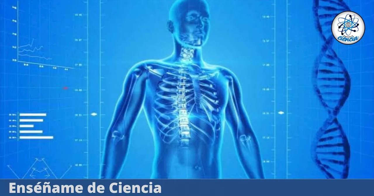 Aprende sobre FISIOLOGÍA con este CURSO virtual 100% GRATIS