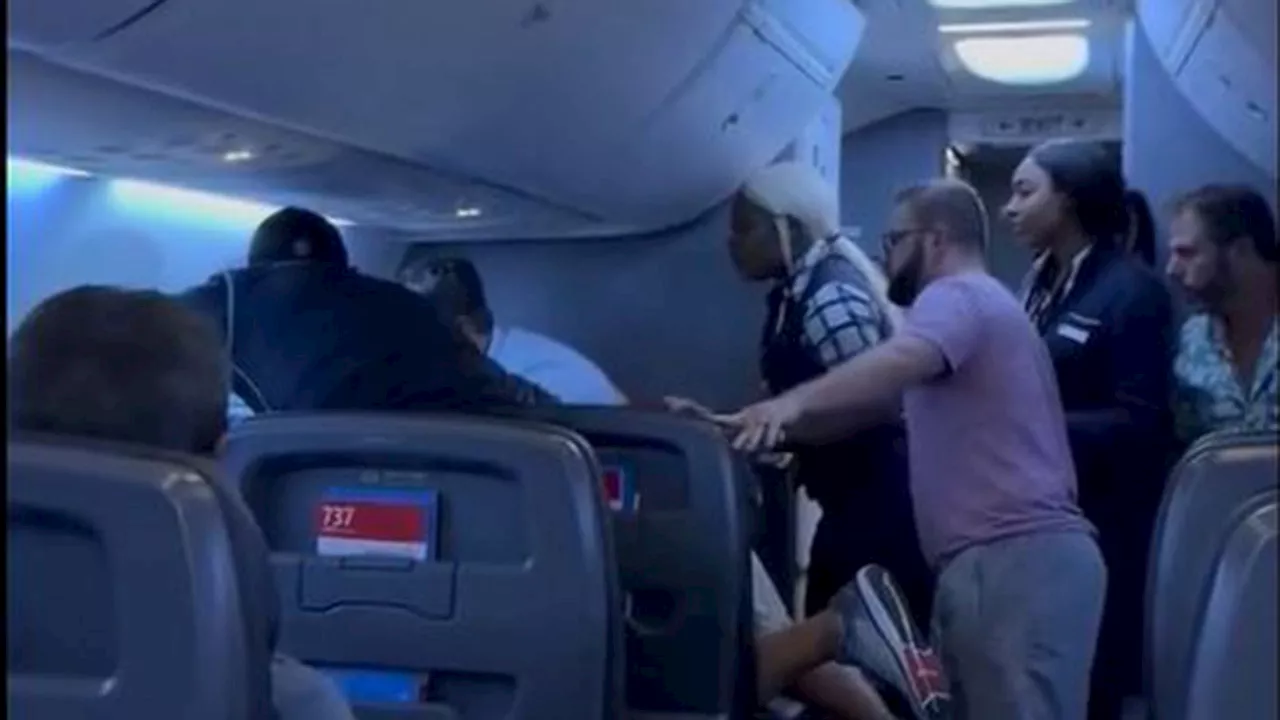 Passengers Subdue Alleged Attacker on American Airlines Flight