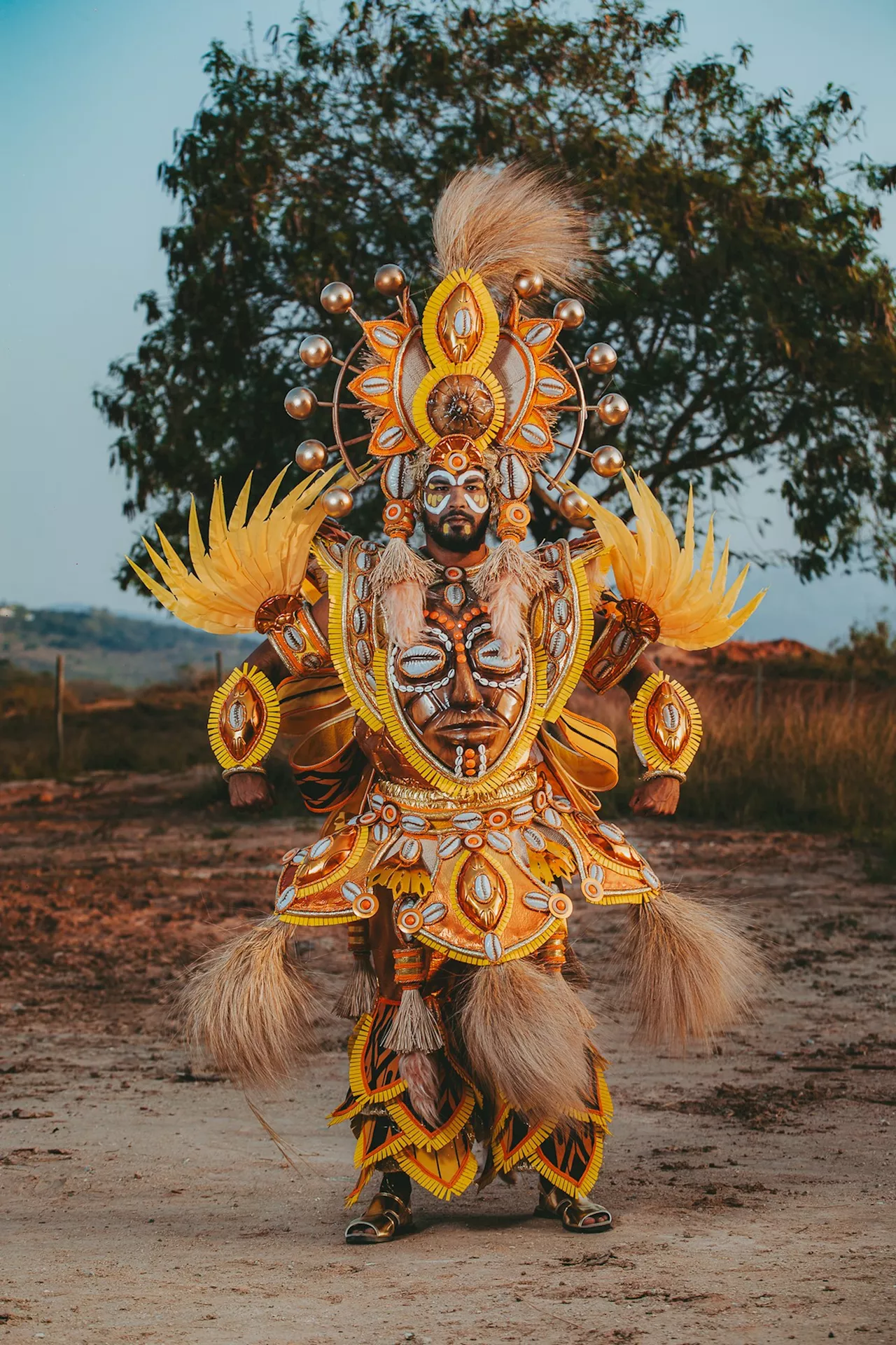 Enredo sobre Laíla: Beija-Flor terá ala de fantasias em celebração ao continente africano