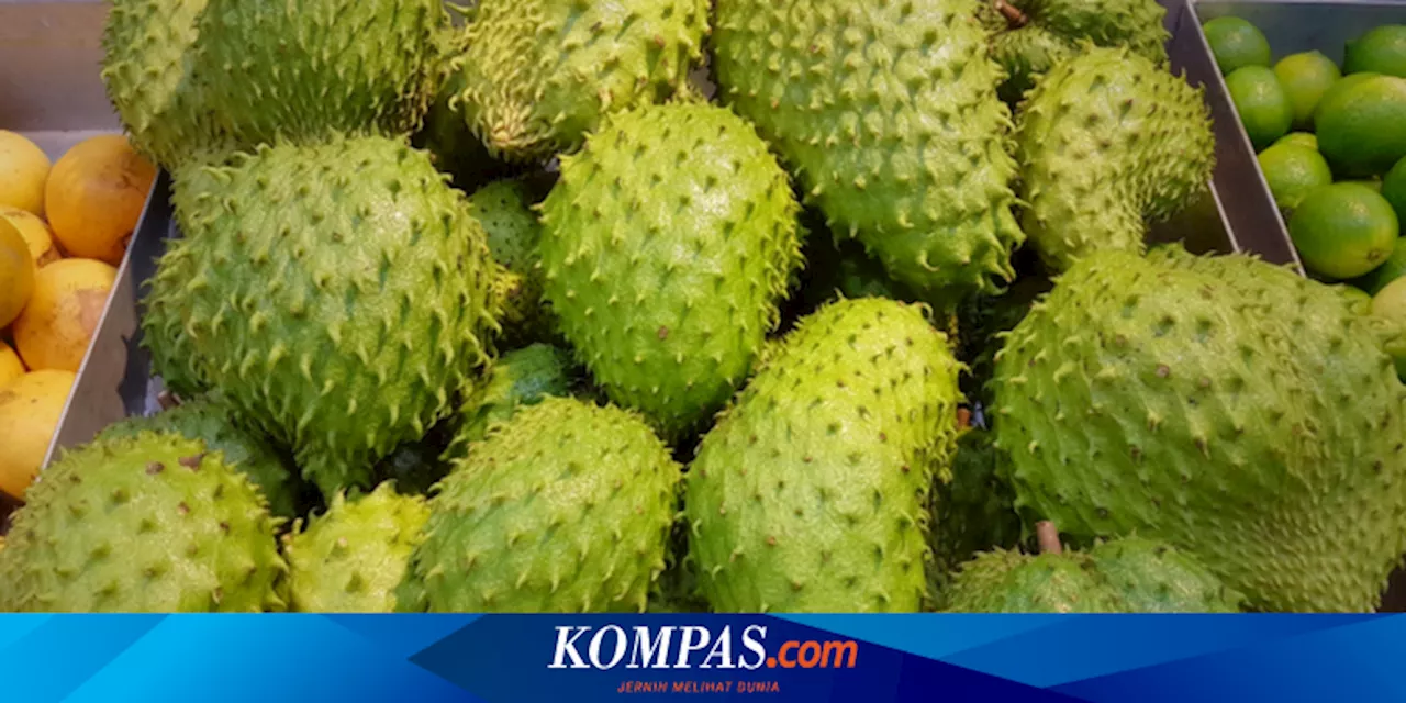 Jarang Diketahui, 4 Kelompok Orang yang Tidak Dianjurkan Makan Sirsak