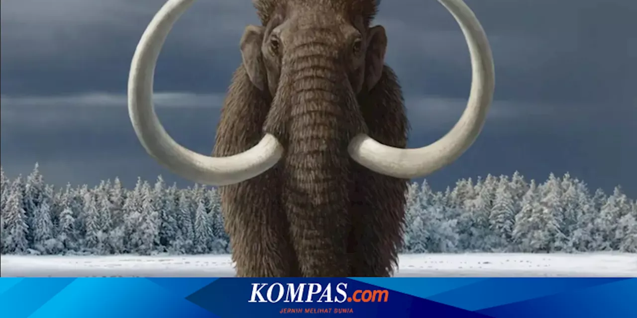 Peneliti Ungkap Mammoth Punah Karena Hidung Tersumbat Akibat Alergi