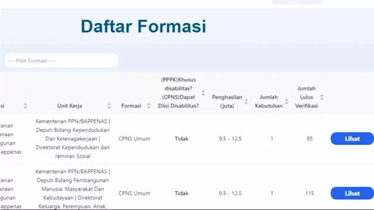 Seleksi CPNS 2024, Ini Link dan Cara Cek Jumlah Pesaing Tiap Jabatan