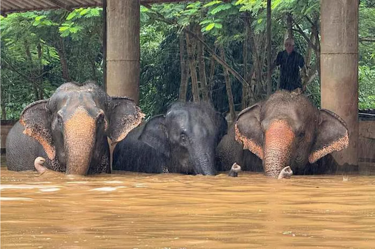 Floods inundate Thailand's northern tourist city of Chiang Mai