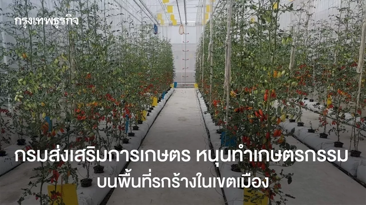 กรมส่งเสริมการเกษตร นำร่องโครงการเกษตรเขตเมืองอัจฉริยะ