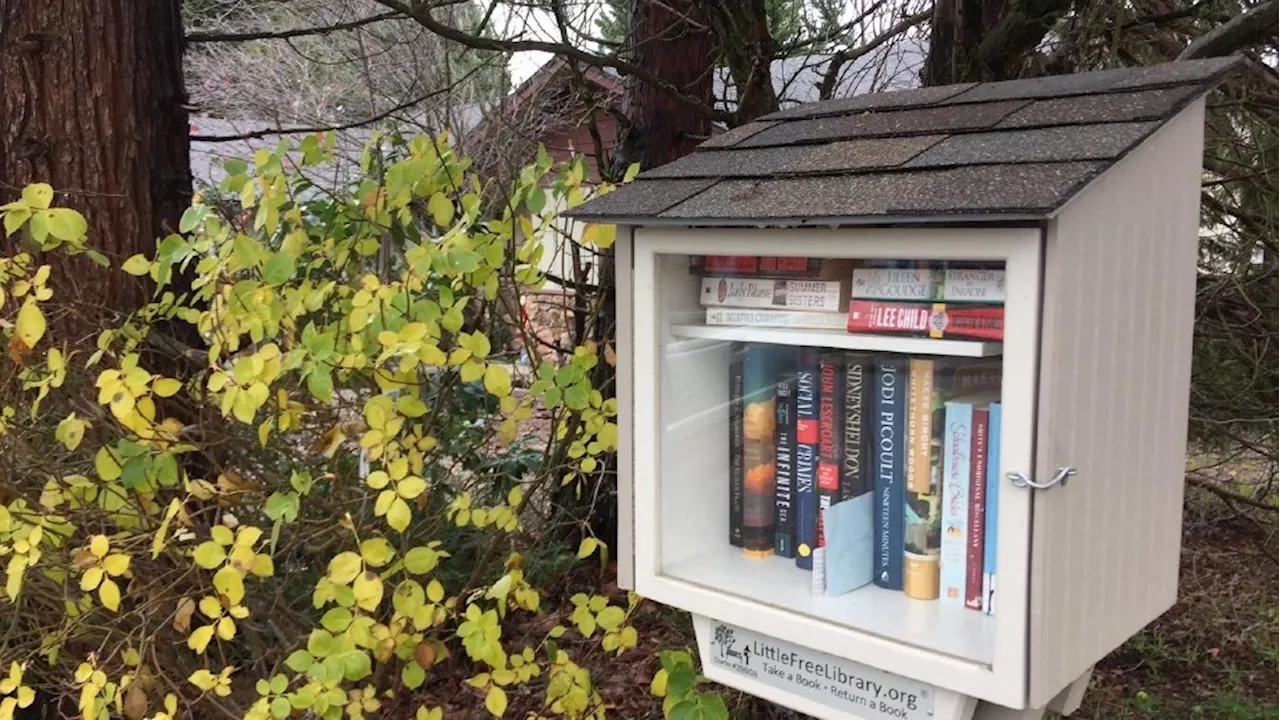 Lawmaker pushes for distribution of banned children’s books in 'Little Free Libraries'