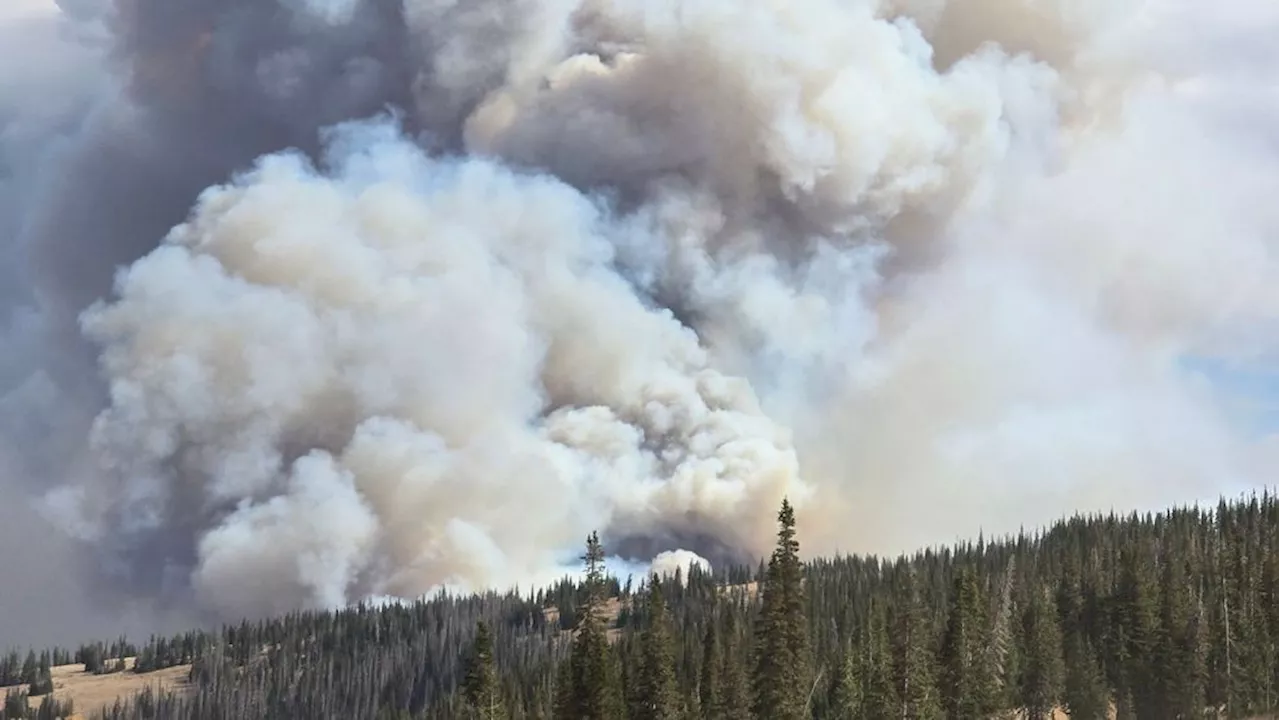 Yellow Lake Fire expands drastically from 3,000 to nearly 8,000 acres in 24 hours