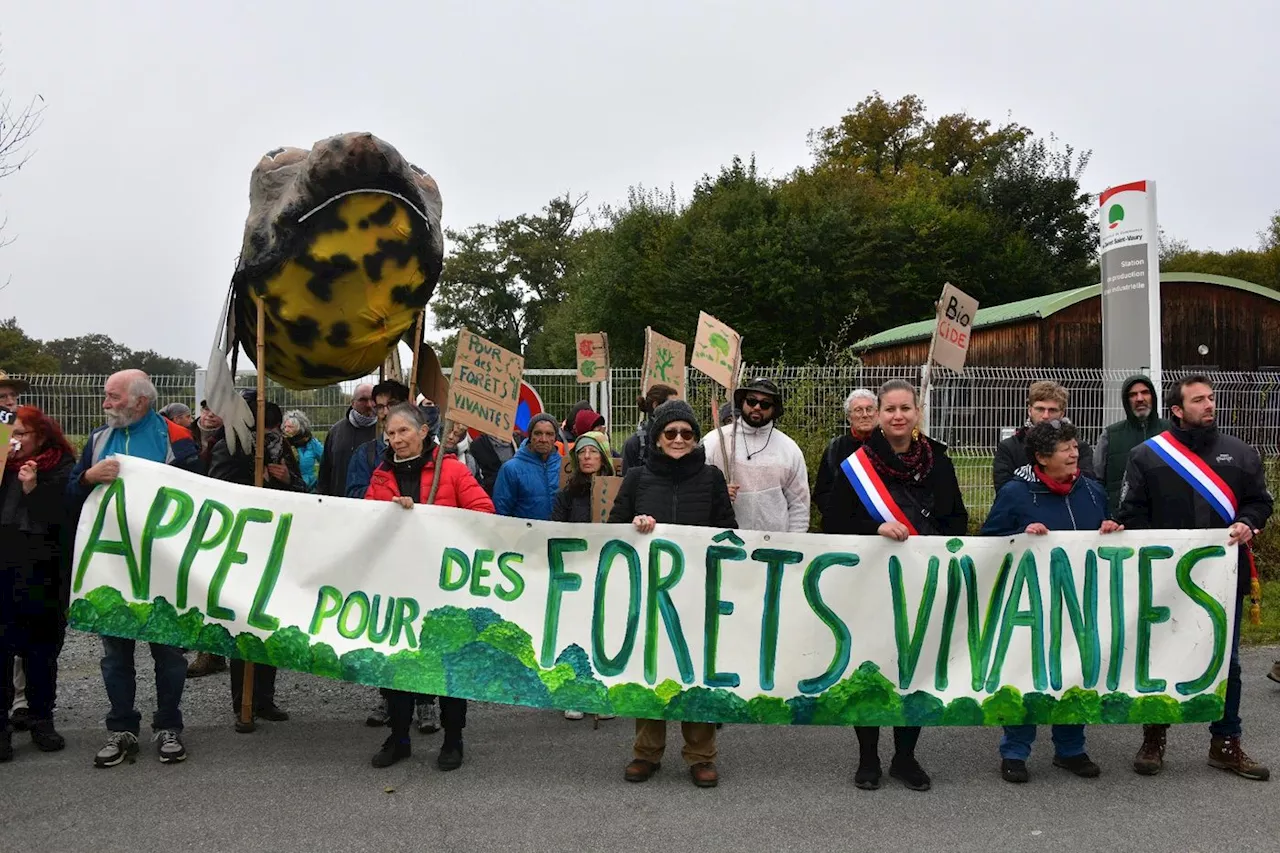 Creuse : manifestation d'opposants contre «l'industrialisation de la forêt»