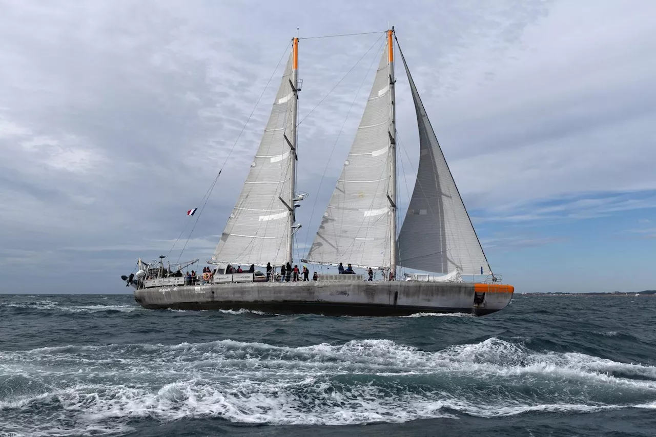 La goélette Tara rentre à Lorient, ses cales pleines de promesses scientifiques