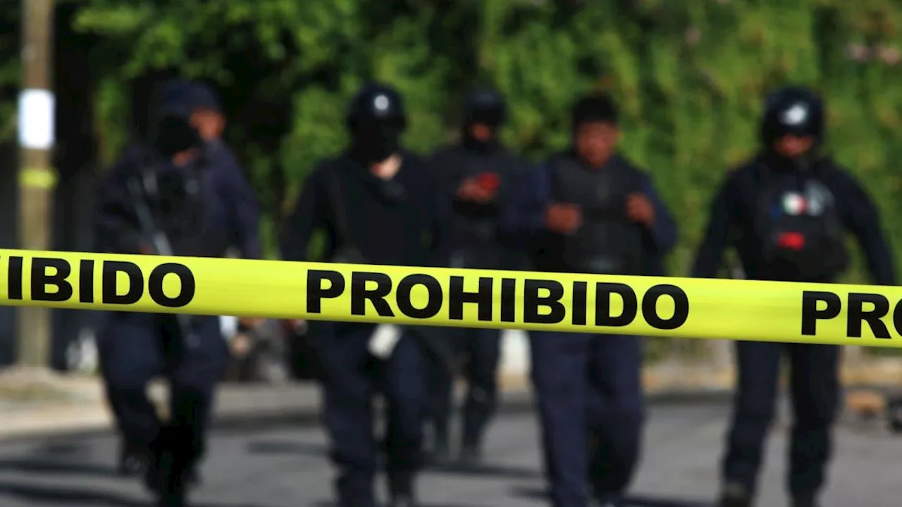 Causa en Común revela que en el Gobierno previo fueron asesinados 2 mil 456 policías