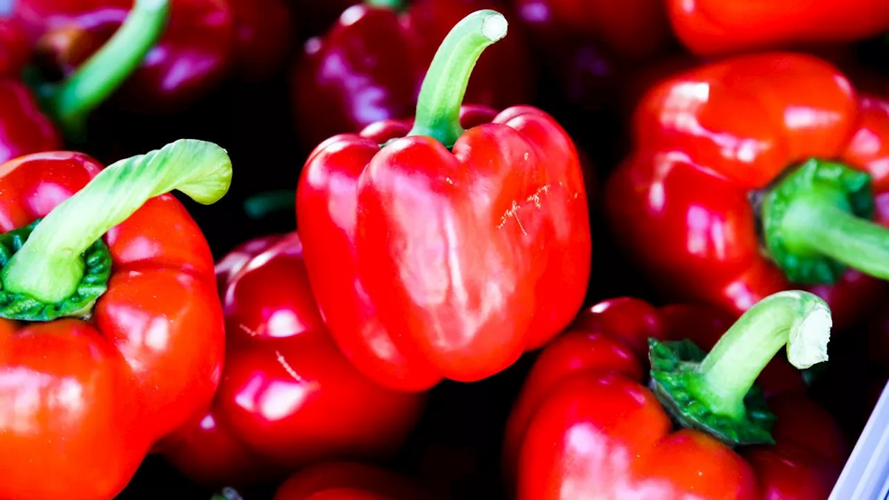 4 Cara Mengolah Paprika untuk Menurunkan Kolesterol secara Alami dan Cepat