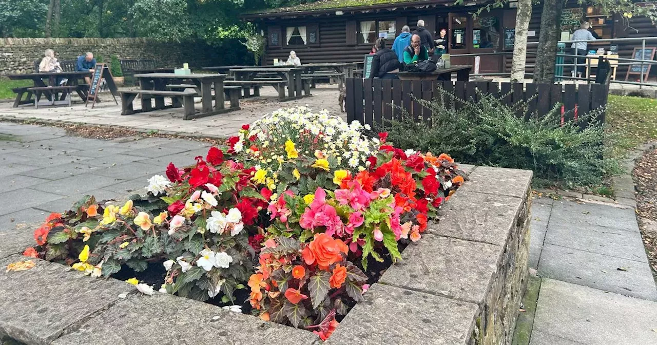 The Cabin: A Cozy Cafe at the Foot of Pendle Hill