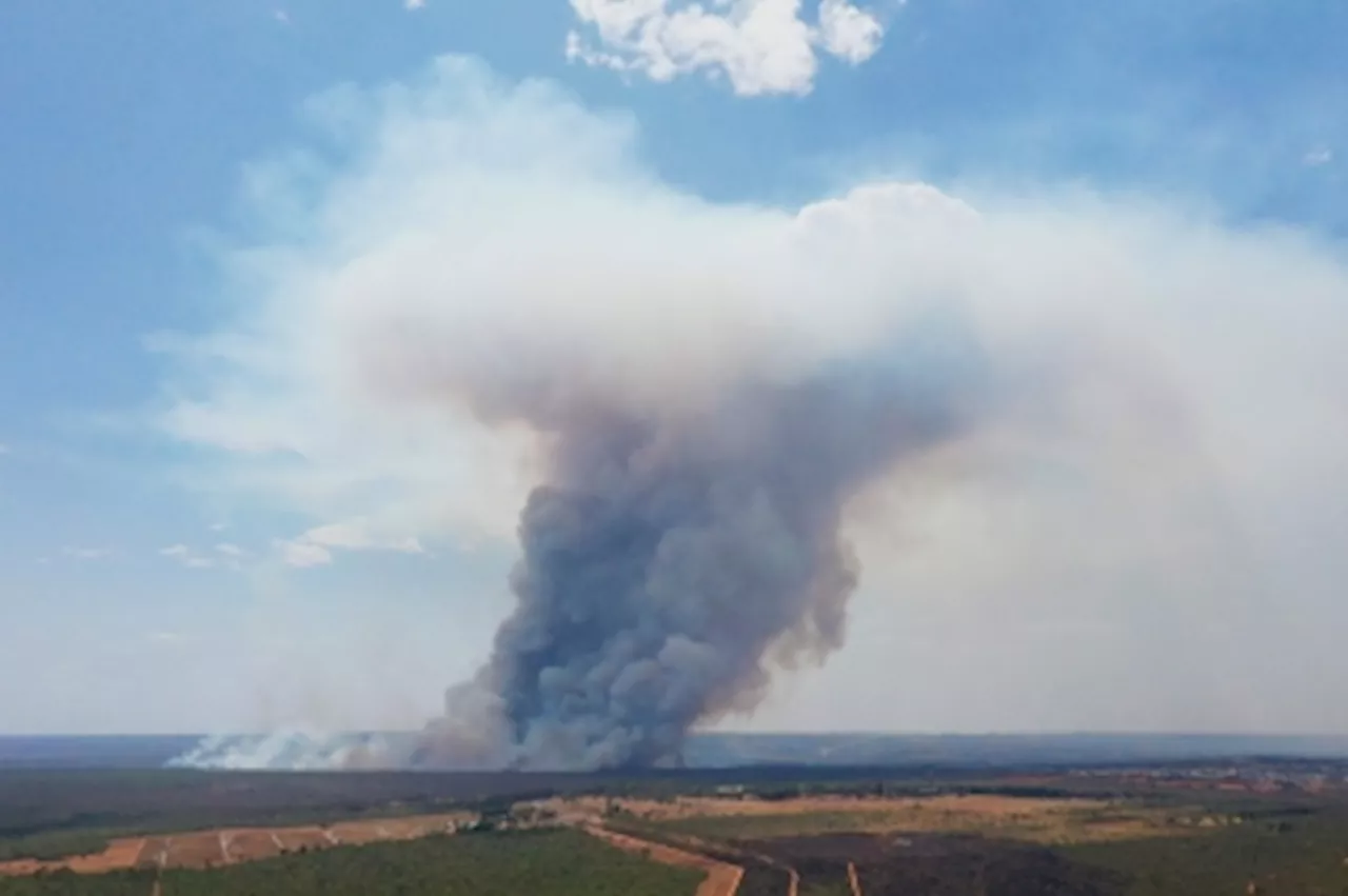 Record 164-day drought grips Brazil’s capital Brasilia, wildfires and heat intensify, ‘orange alert’ issued for critically low humidity