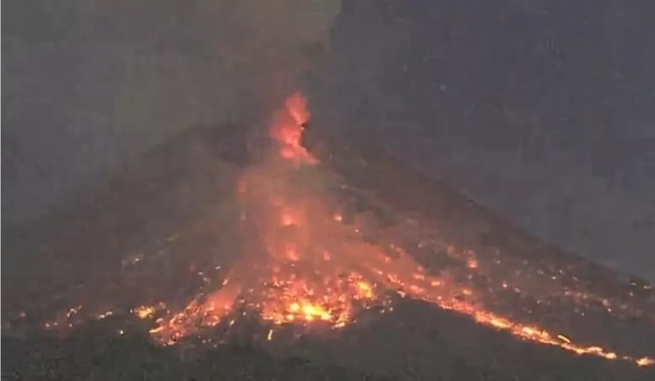 Terjadi 5 Kali Awan Panas Guguran dan 204 Kali Guguran Lava Gunung Merapi dalam Sepekan