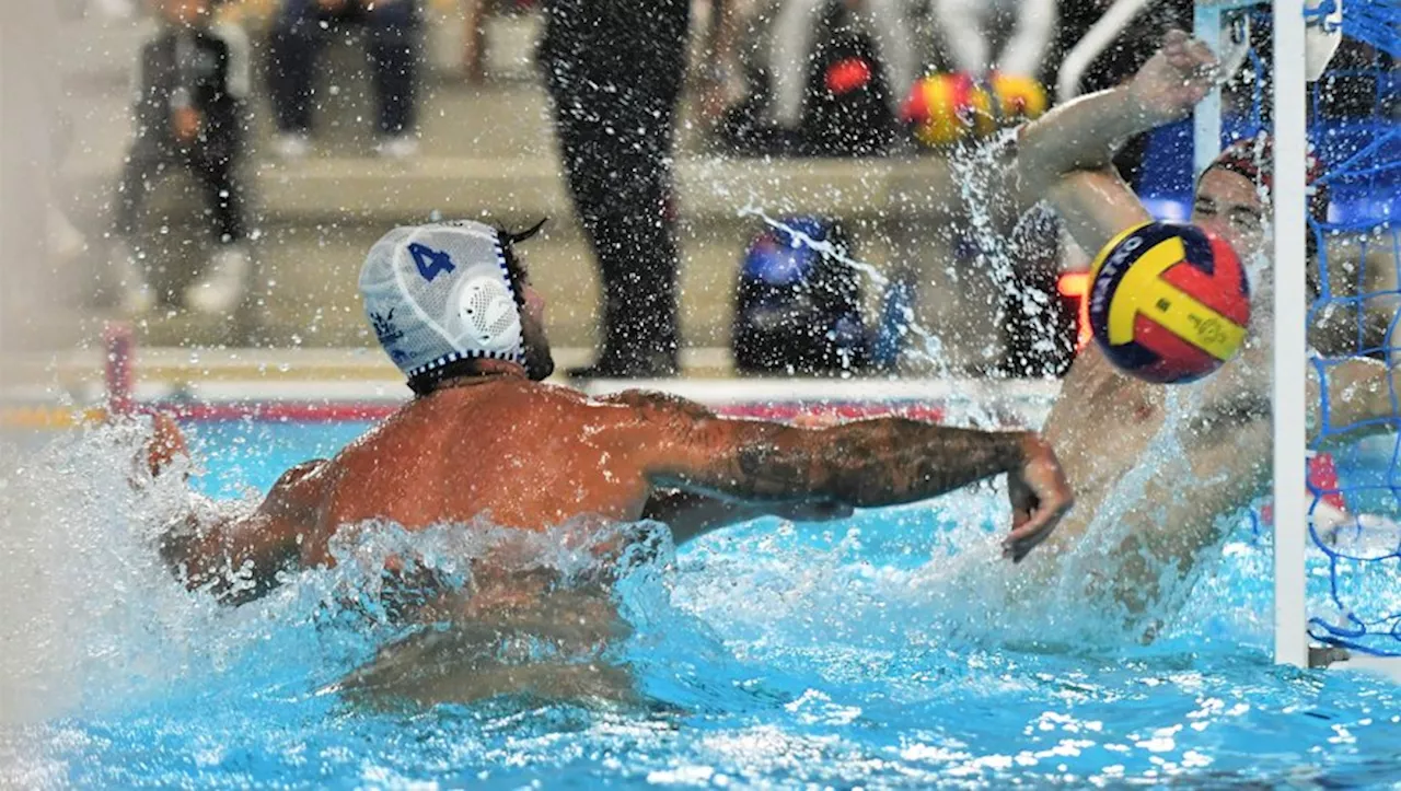 Water-polo : Montpellier met un gros coup de clim dans le bassin sétois