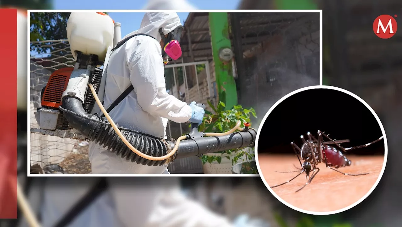 Coahuila rebasa los mil 600 casos de dengue y Durango los 500