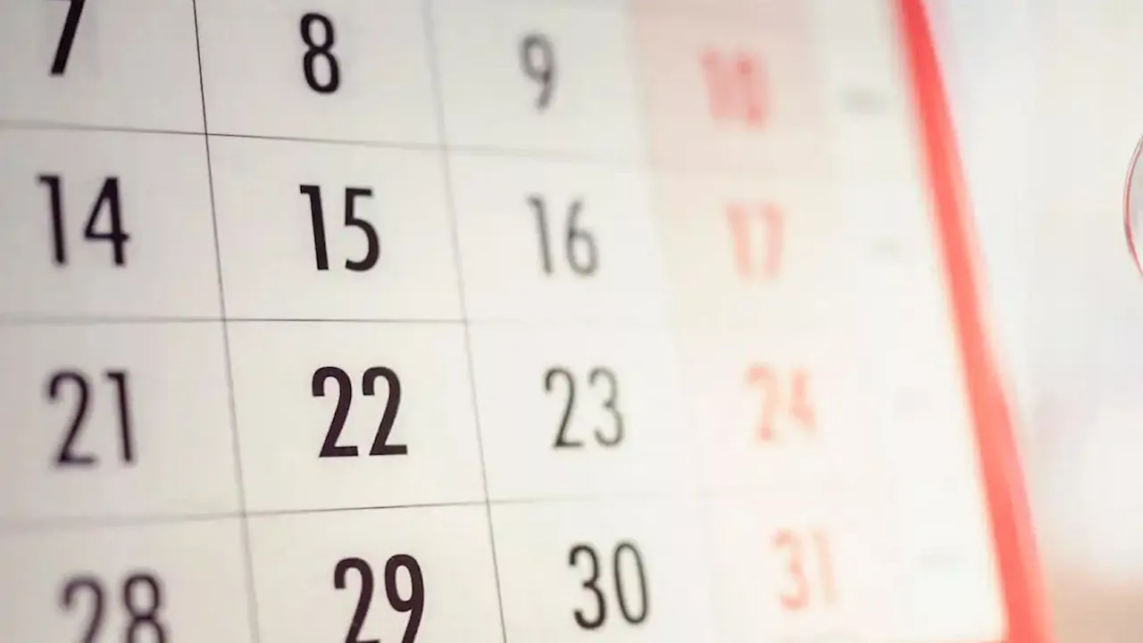 Feriados: uno a uno, los días no laborables de octubre 2024
