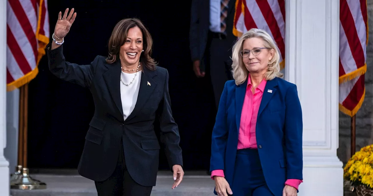 Why Trump hates Liz Cheney's Kamala Harris endorsement