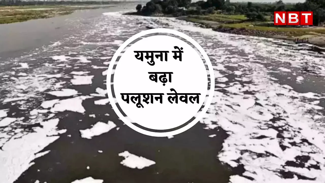 Delhi News: यमुना नदी में इस साल नहीं आई बाढ़, लेकिन बढ़ा प्रदूषण का स्तर, जानिए पीछे की वजह