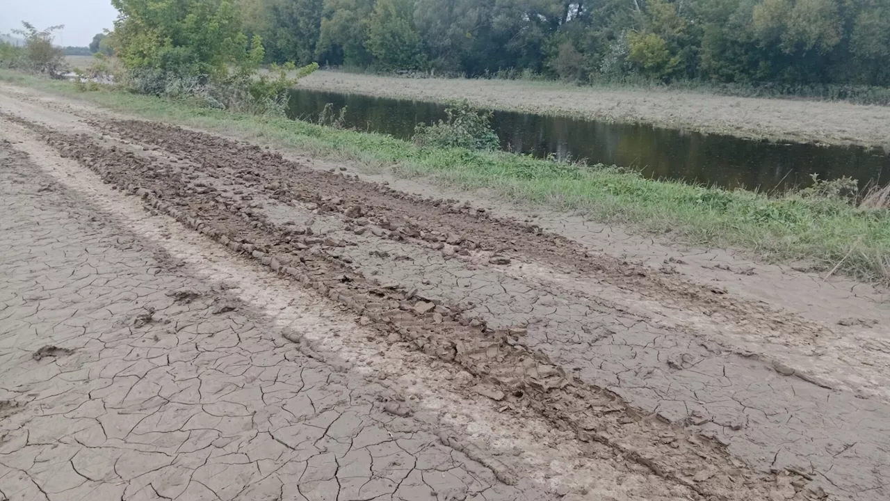 Bruckneudorf: Dammstraße bleibt nach Überflutung weiterhin gesperrt