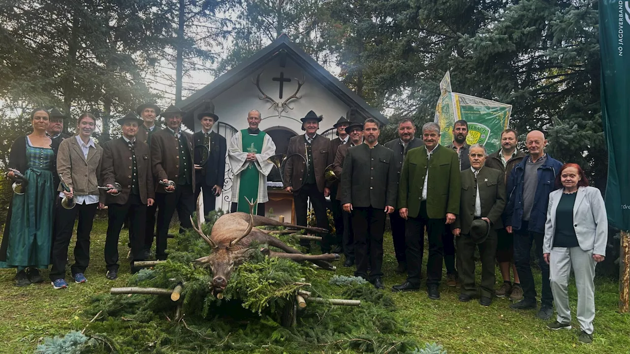 Erlegter Hirsch wurde bei Hubertusmesse gesegnet