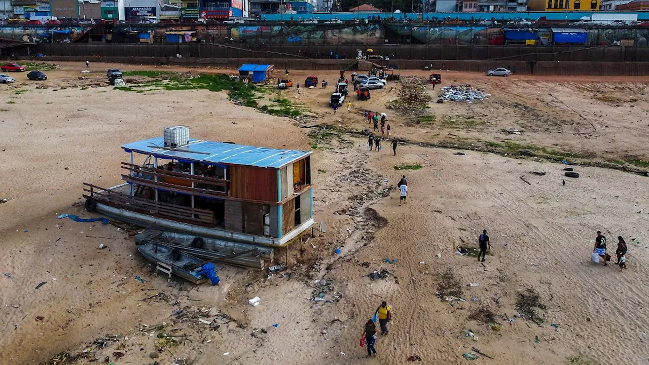 Dürre trocknet Rio Negro aus: Amazonas-Nebenfluss erreicht niedrigsten Pegel seit 1902