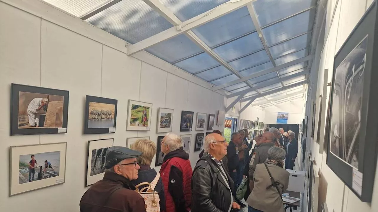 Exposition sur le thème de l'eau au musée du Pays de Retz