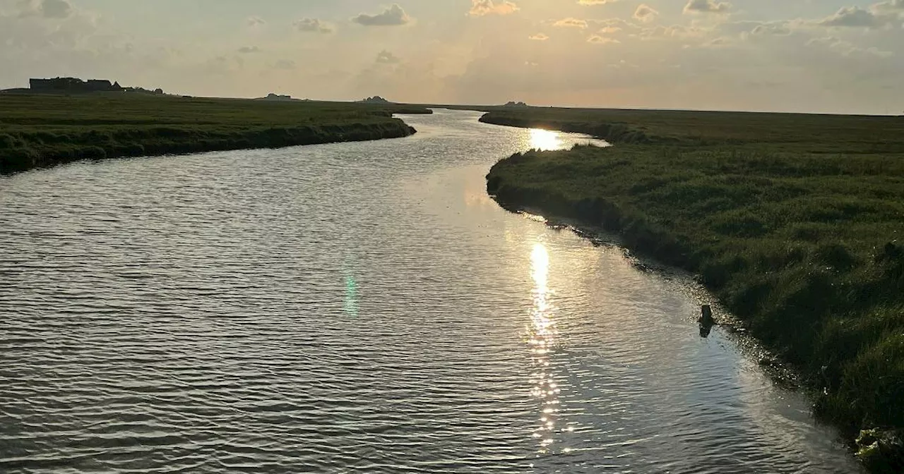 Hallig Hooge: Abgeschieden im Wattenmeer