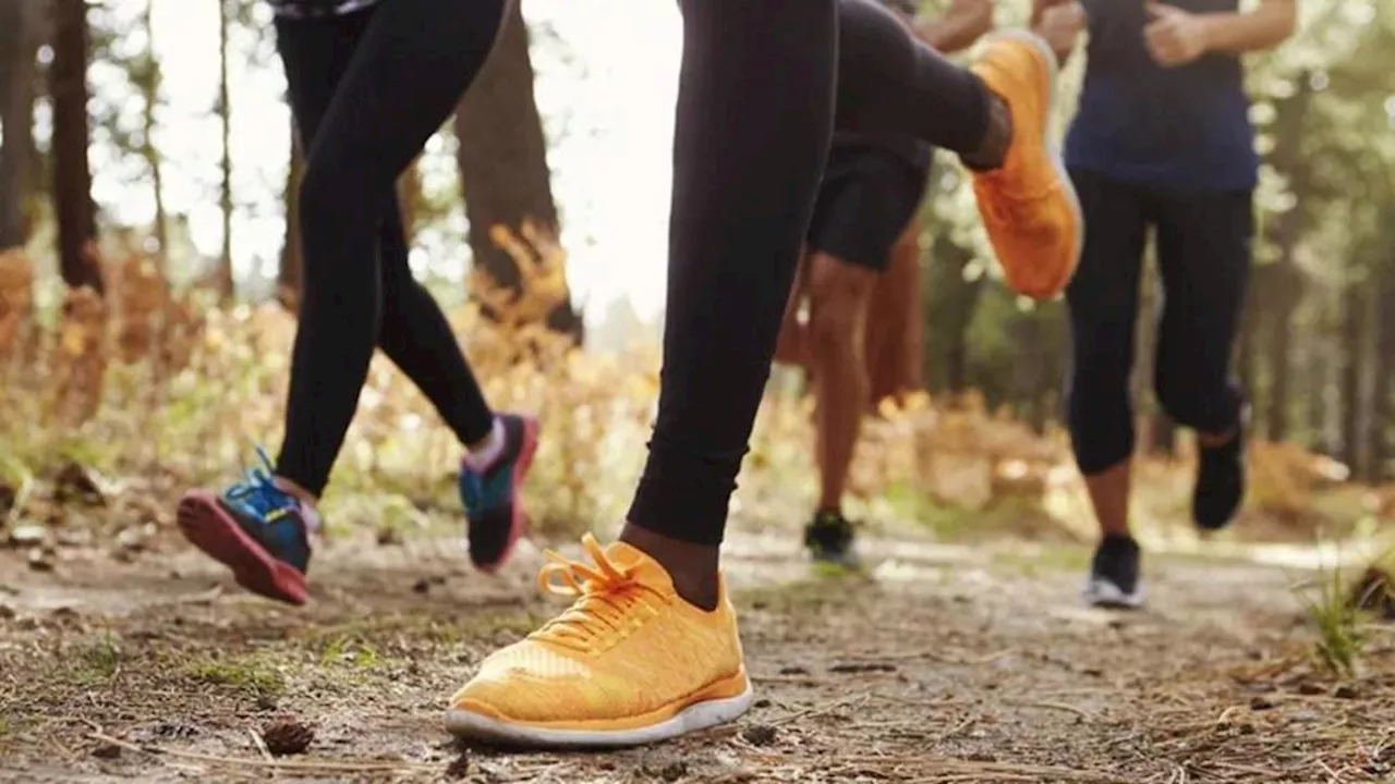 Choosing the Right Trail Running Shoes for Comfort and Durability